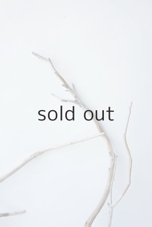 画像4: 流木根セット