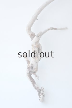 画像2: 流木根セット