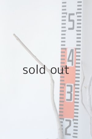 画像6: 流木根セット