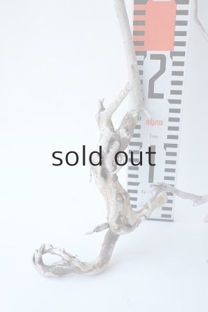 画像5: 流木根セット