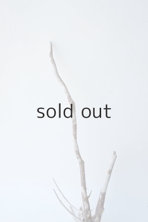 画像3: 流木根セット