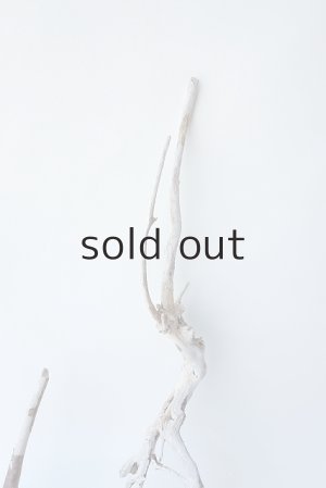 画像4: 流木根セット