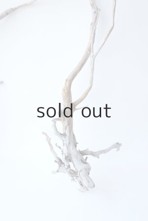 画像3: 流木根セット