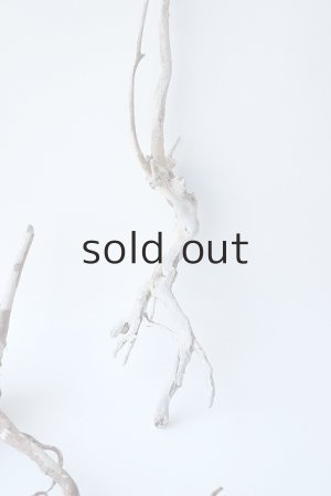 画像5: 流木根セット