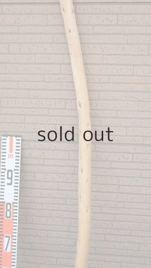 画像7: 棒流木・長尺