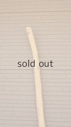 画像5: 棒流木・長尺