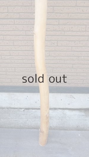 画像2: 棒流木・長尺