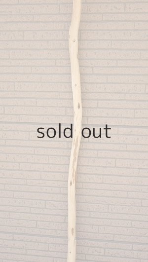 画像3: 棒流木・長尺