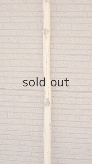 画像4: 棒流木・長尺