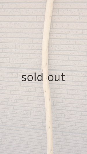 画像3: 棒流木・長尺