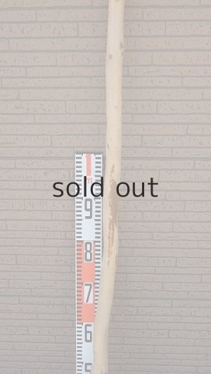 画像7: 棒流木・長尺