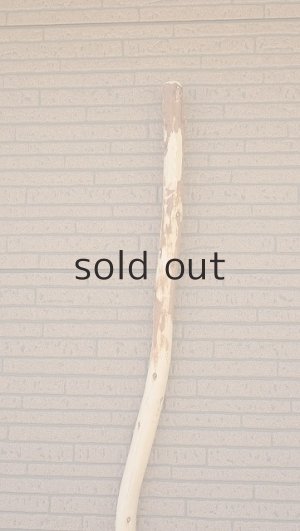 画像4: 棒流木・長尺