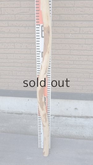 画像6: 棒流木・長尺