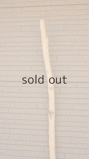 画像5: 棒流木・長尺