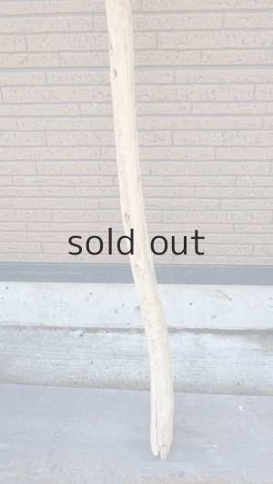 画像2: 棒流木・長尺