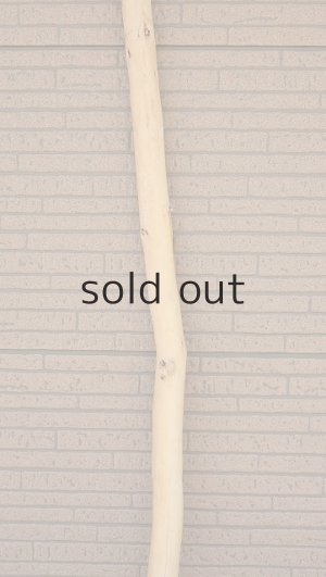 画像4: 棒流木・長尺