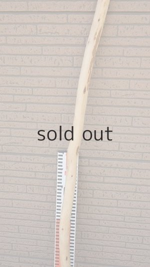 画像7: 棒流木・長尺