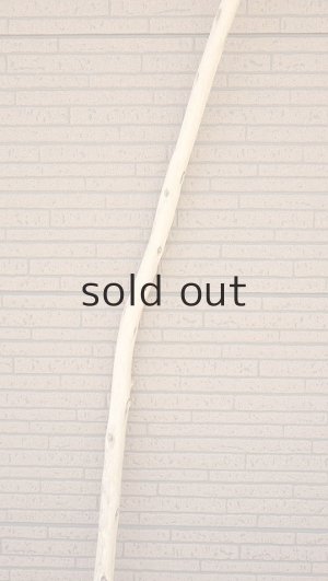 画像4: 棒流木・長尺