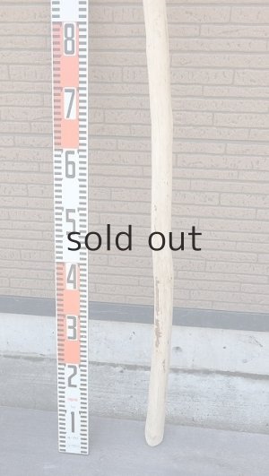 画像6: 棒流木・長尺