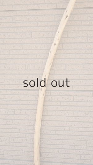 画像4: 棒流木・長尺