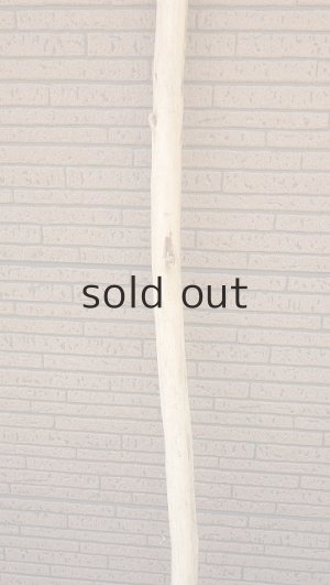 画像3: 棒流木・長尺