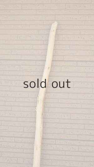 画像5: 棒流木・長尺