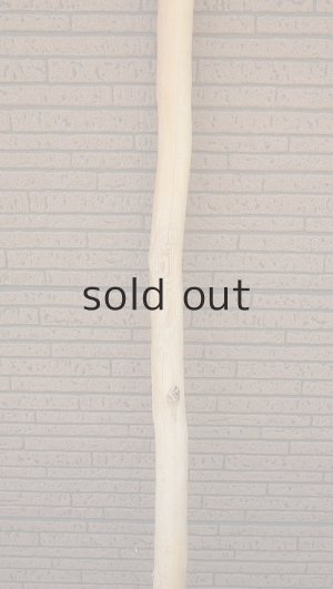 画像3: 棒流木・長尺