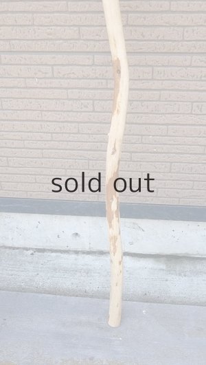 画像2: 棒流木・長尺