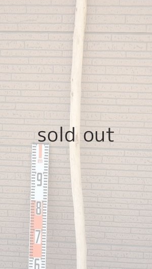 画像7: 棒流木・長尺