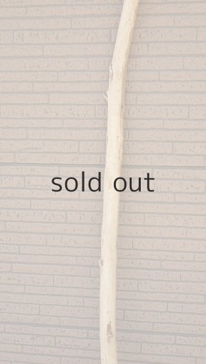 画像4: 棒流木・長尺