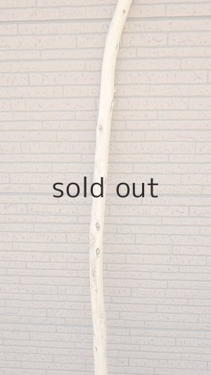 画像3: 棒流木・長尺