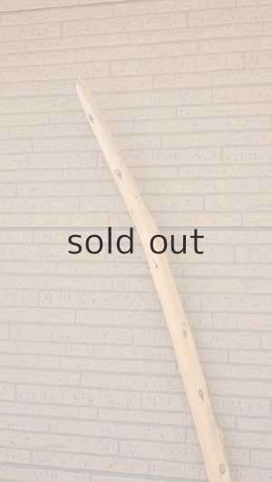 画像5: 棒流木・長尺