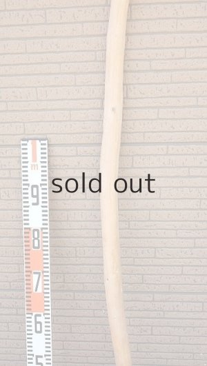 画像7: 棒流木・長尺