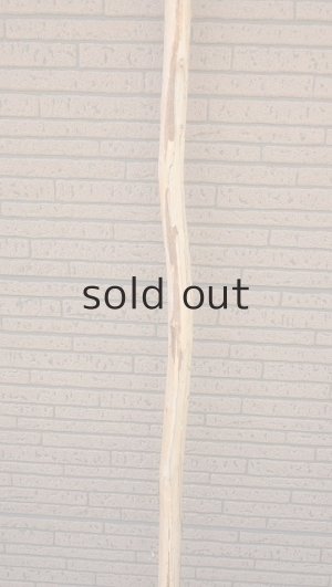 画像3: 棒流木・長尺