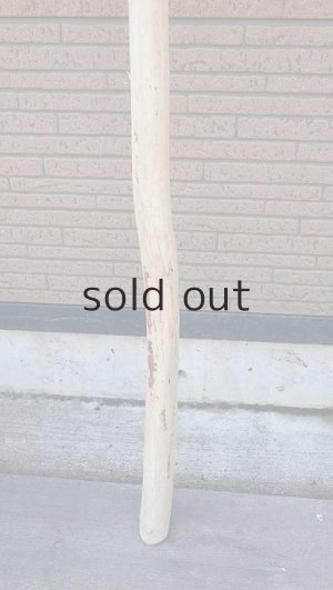 画像2: 棒流木・長尺