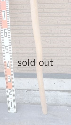 画像6: 棒流木・長尺