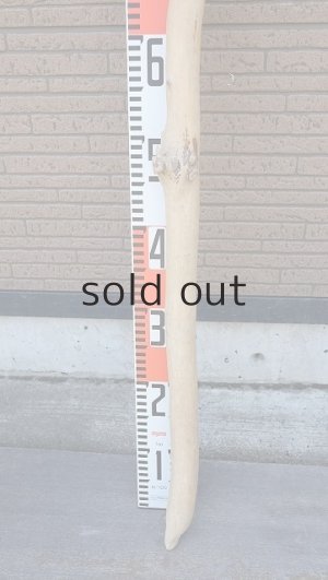 画像6: 棒流木・長尺