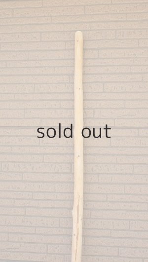 画像5: 棒流木・長尺