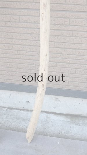 画像6: 棒流木・長尺