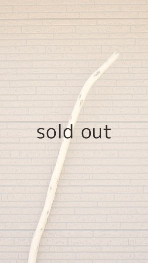 画像5: 棒流木・長尺