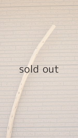 画像5: 棒流木・長尺