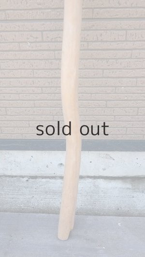 画像2: 棒流木・長尺