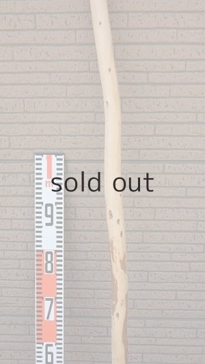 画像6: 棒流木・長尺