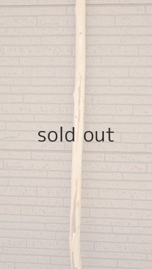 画像4: 棒流木・長尺