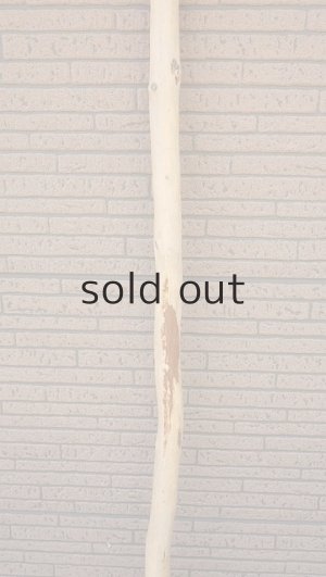 画像3: 棒流木・長尺