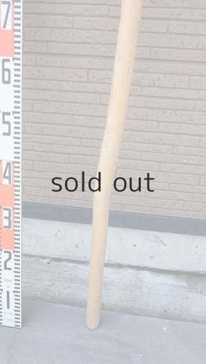 画像6: 棒流木・長尺