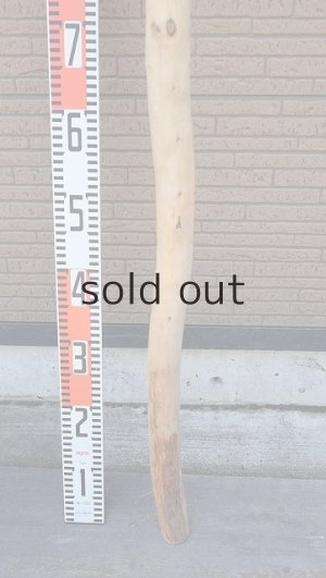 画像6: 棒流木・長尺