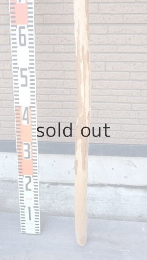 画像5: 棒流木・長尺