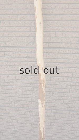 画像3: 棒流木・長尺
