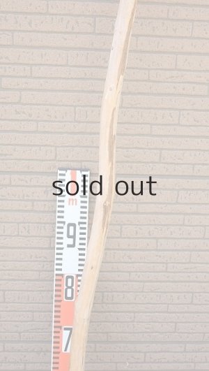 画像7: 棒流木・長尺